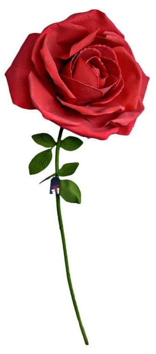 Ruže dar pre ženu - XXL obrovská ruža