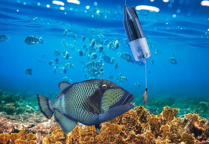podvodna kamera na ryby